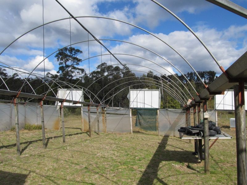 93 Quire Rd, Buchan South VIC 3885