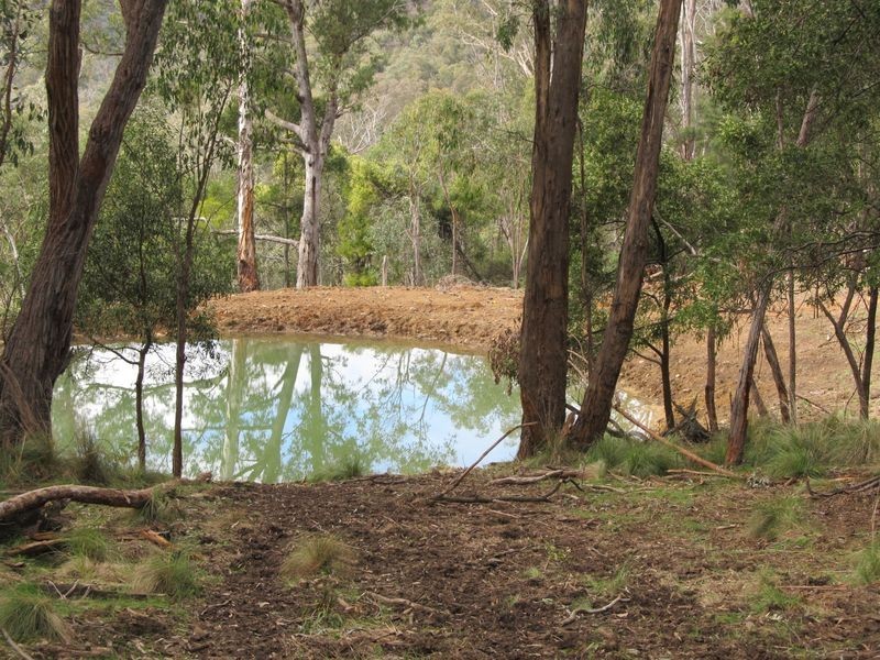 176 Hunter Lane, Buchan VIC 3885