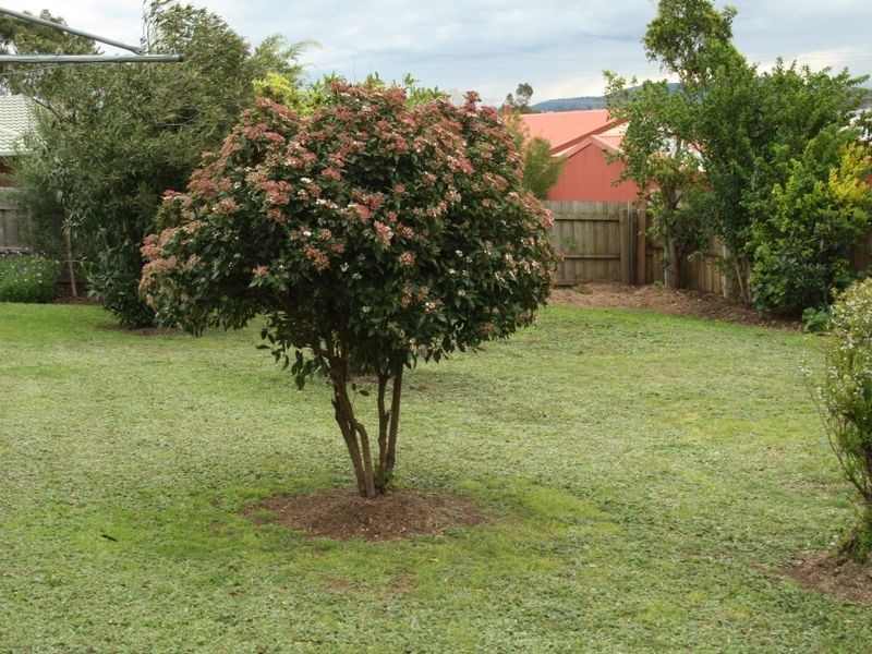 61B Hadfield Street, Lucknow VIC 3875