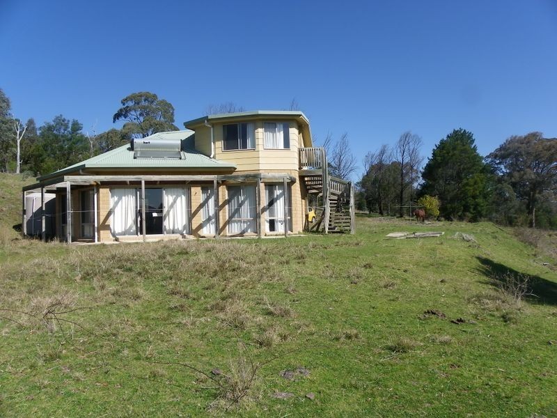 2435 Gelantipy Road, W Tree VIC 3885