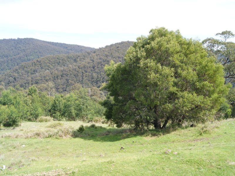 2435 Gelantipy Road, W Tree VIC 3885