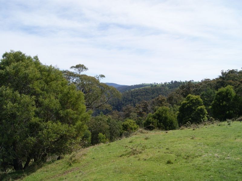 2435 Gelantipy Road, W Tree VIC 3885