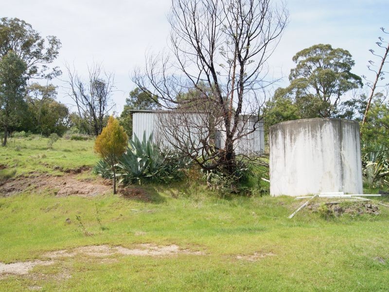 2435 Gelantipy Road, W Tree VIC 3885