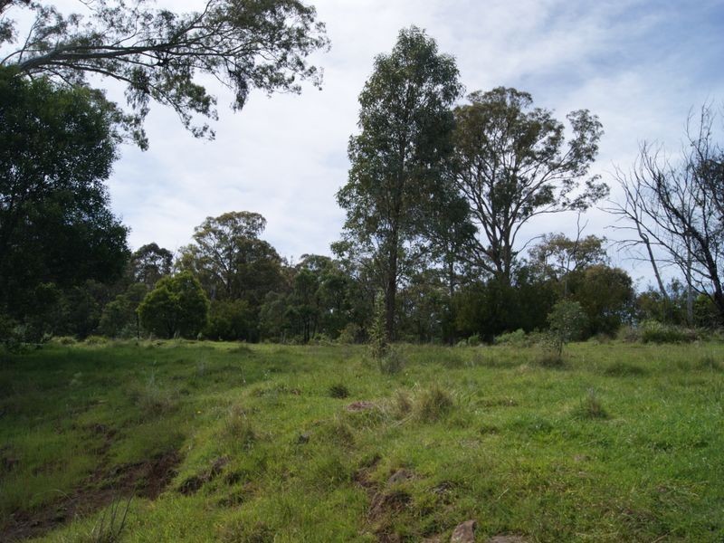 2435 Gelantipy Road, W Tree VIC 3885