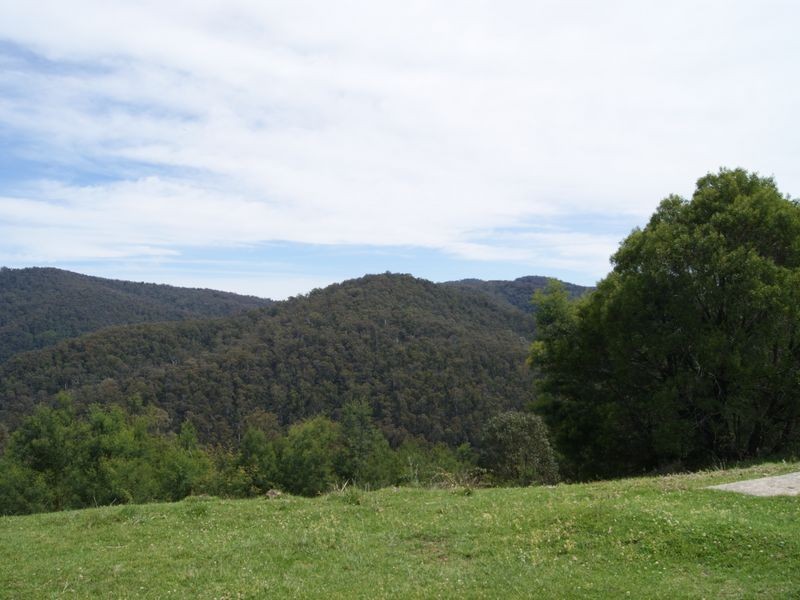 2435 Gelantipy Road, W Tree VIC 3885