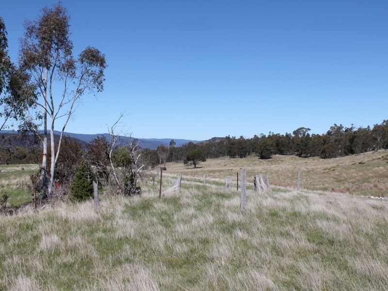5374 Gelantipy Road, Wulgulmerang VIC 3885