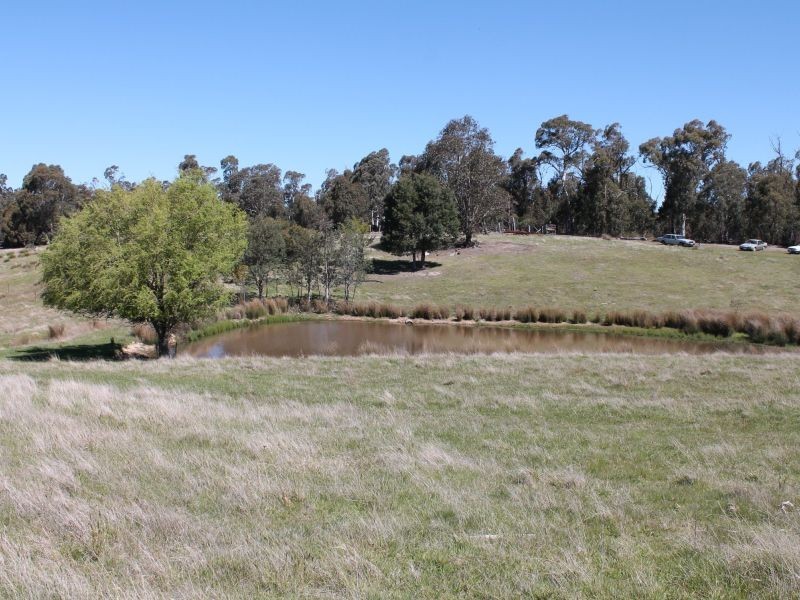 5374 Gelantipy Road, Wulgulmerang VIC 3885