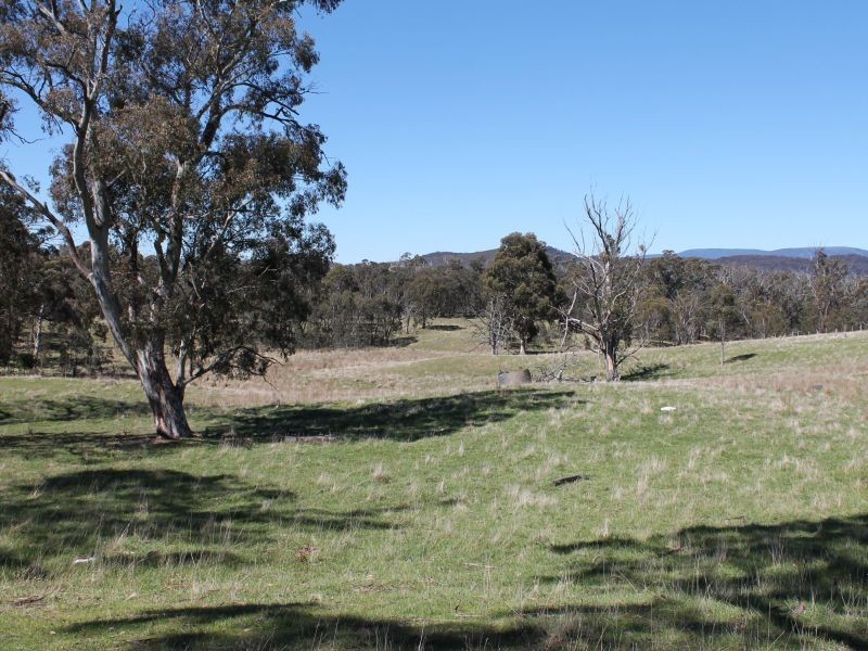5374 Gelantipy Road, Wulgulmerang VIC 3885