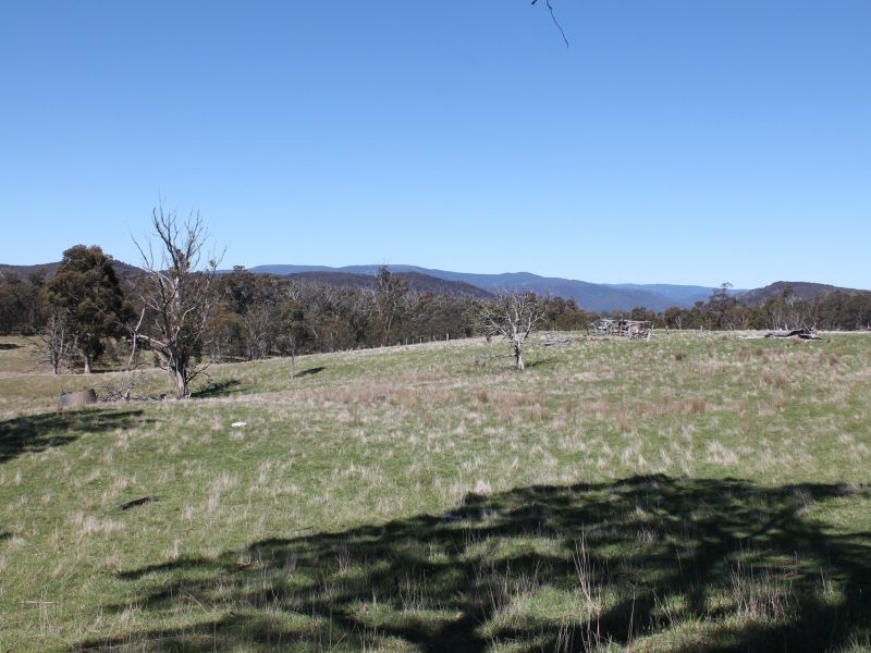 5374 Gelantipy Road, Wulgulmerang VIC 3885