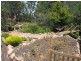 39 Amberly Drive, Nicholson VIC 3882