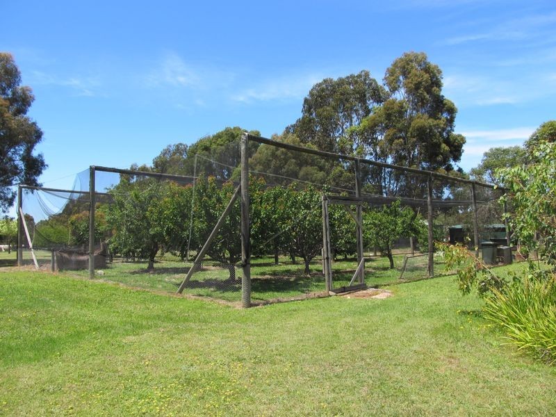 39 Amberly Drive, Nicholson VIC 3882