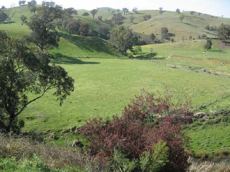 42 Johnston Street, Ensay VIC 3895