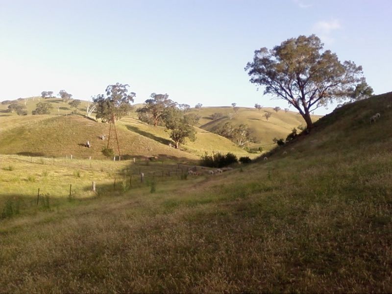 42 Johnston Street, Ensay VIC 3895