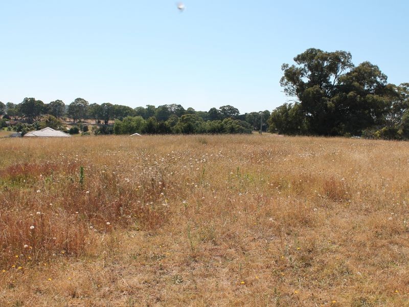 635 Olivers Road, Nicholson VIC 3882