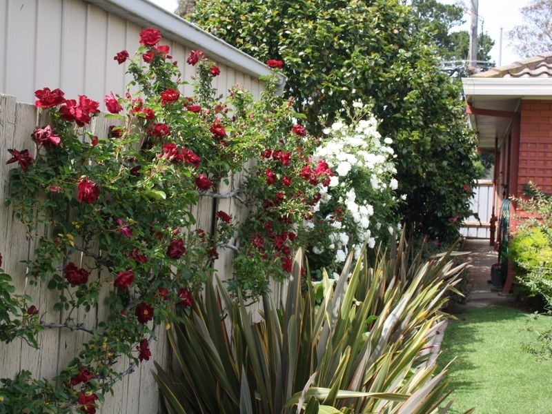 120 Wallace Street, Bairnsdale VIC 3875