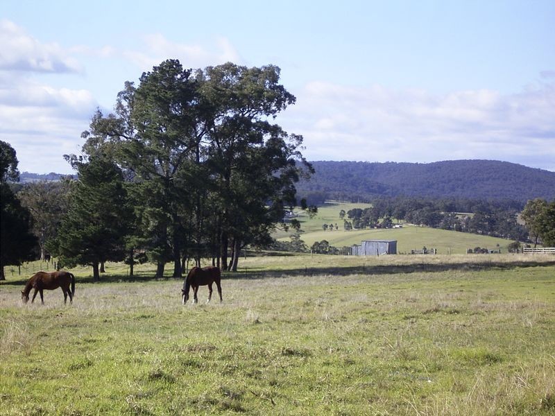 330 Flaggy Creek Road, Flaggy Creek VIC 3875