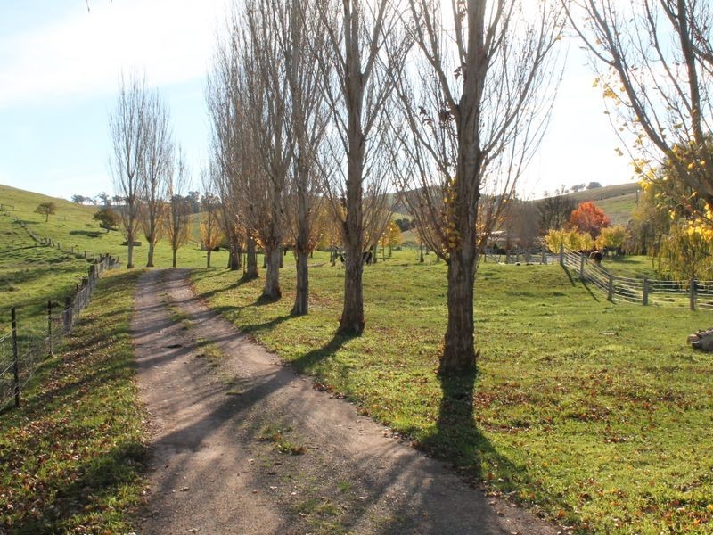 700 Reedy Creek Road, Ensay VIC 3895