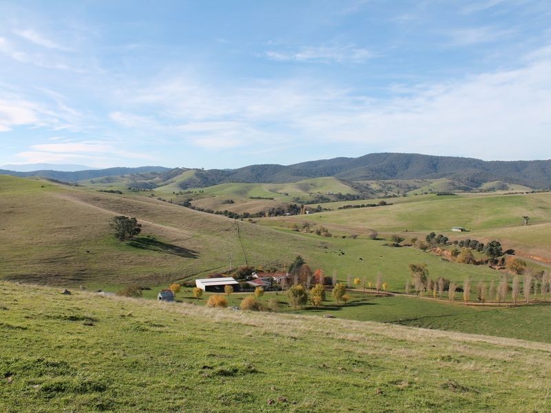 700 Reedy Creek Road, Ensay VIC 3895