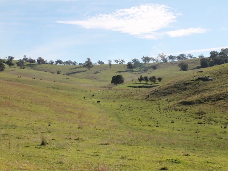 700 Reedy Creek Road, Ensay VIC 3895