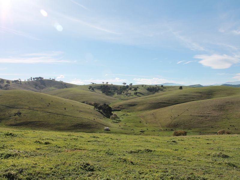 700 Reedy Creek Road, Ensay VIC 3895