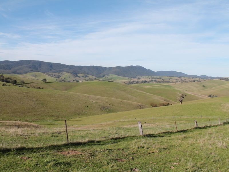 700 Reedy Creek Road, Ensay VIC 3895