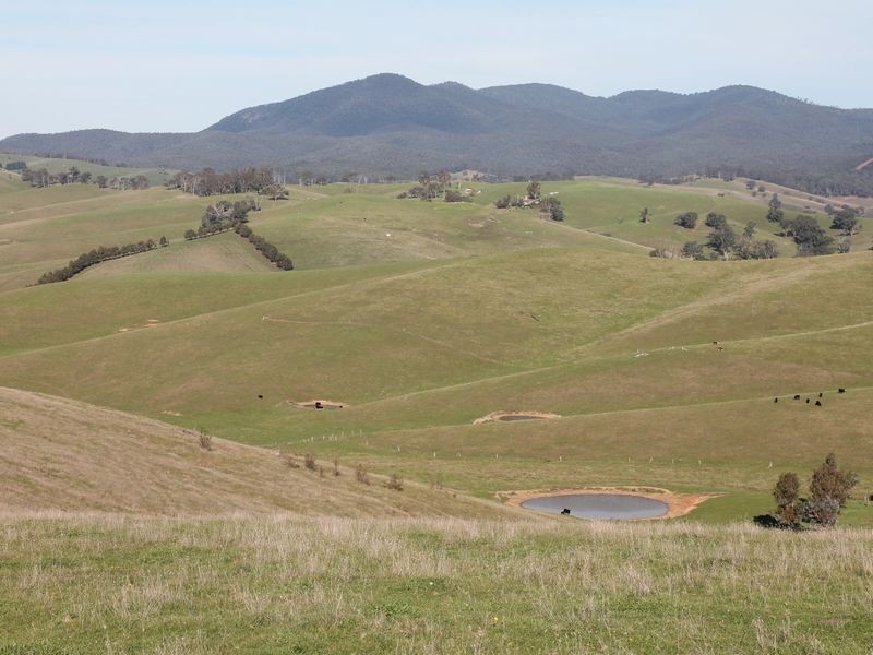 700 Reedy Creek Road, Ensay VIC 3895