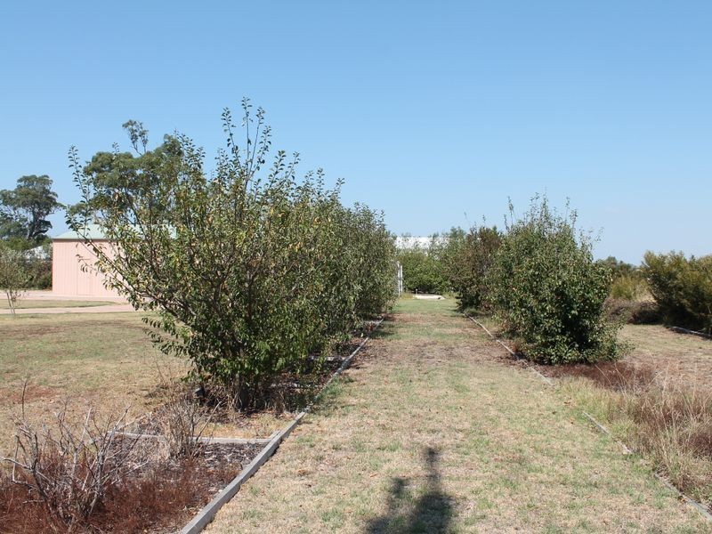 2 Timbarra Drive (Eastwood), Bairnsdale VIC 3875