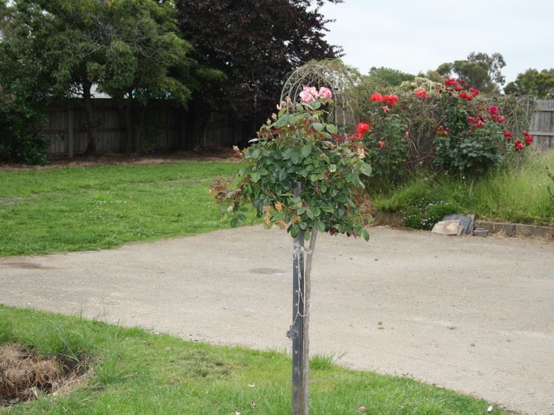 93 Dalmahoy Street, Bairnsdale VIC 3875