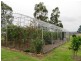 3543 Bairnsdale Dargo Road, Glenaladale VIC 3864