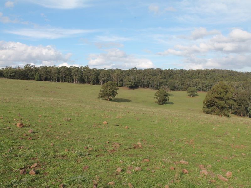 2831 Gelantipy Road, Gelantipy VIC 3885