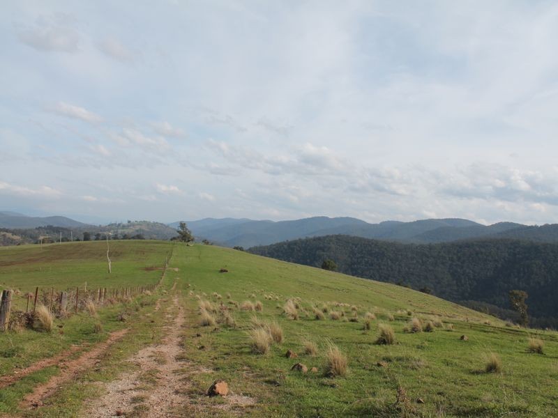 2831 Gelantipy Road, Gelantipy VIC 3885