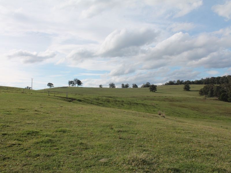 2831 Gelantipy Road, Gelantipy VIC 3885