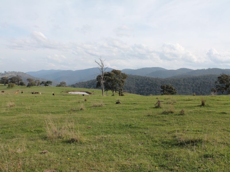 2831 Gelantipy Road, Gelantipy VIC 3885