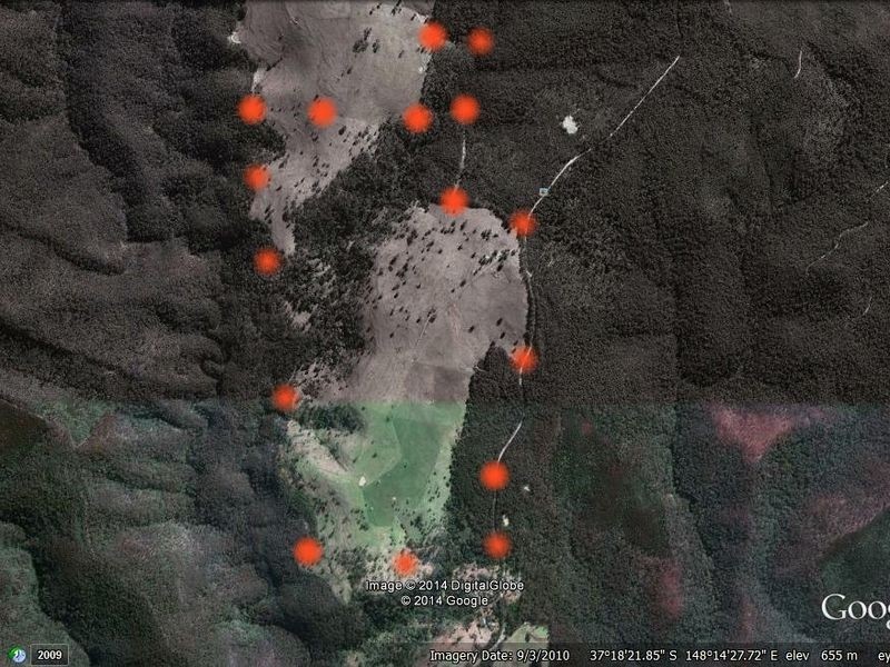 2831 Gelantipy Road, Gelantipy VIC 3885