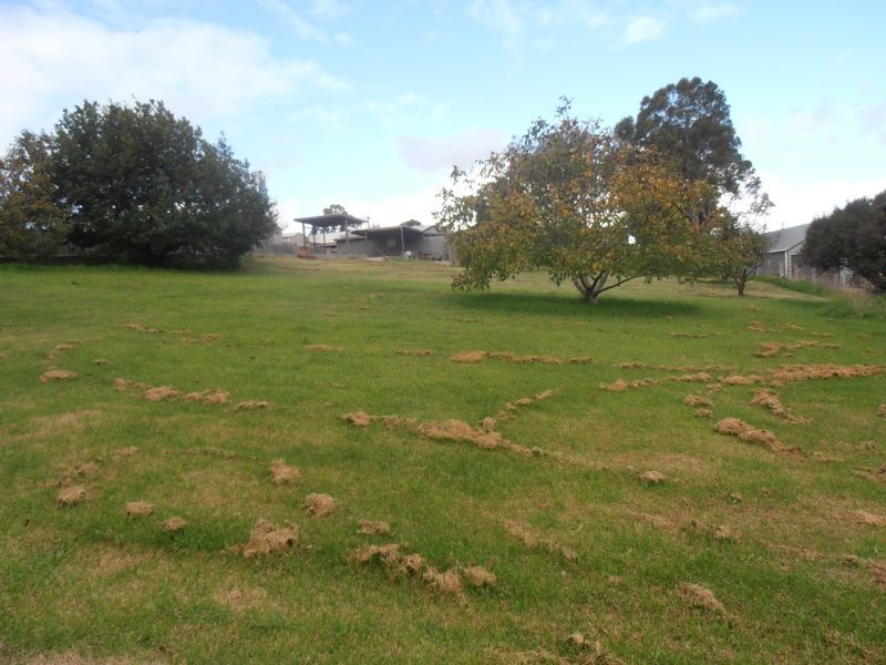 67 Tierney Street, Wy Yung VIC 3875