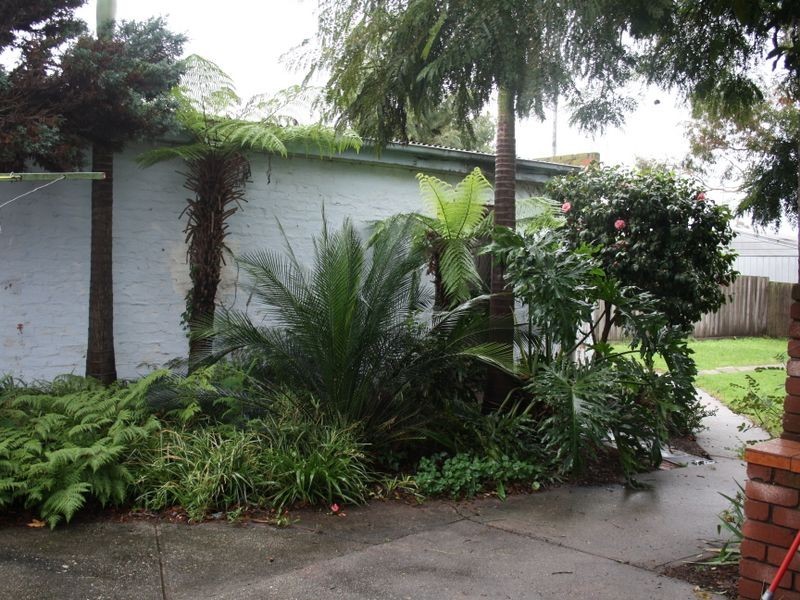 51 Mceacharn Street, Bairnsdale VIC 3875