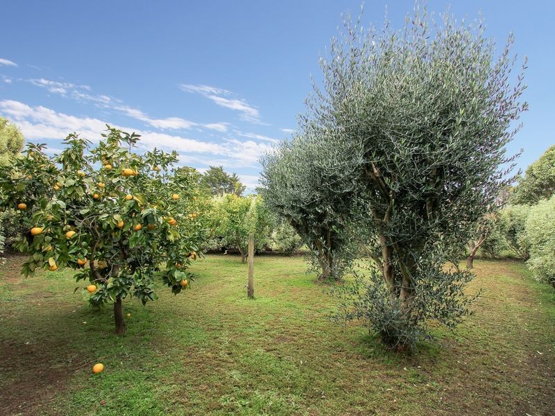 140 Crooke Street, Bairnsdale VIC 3875