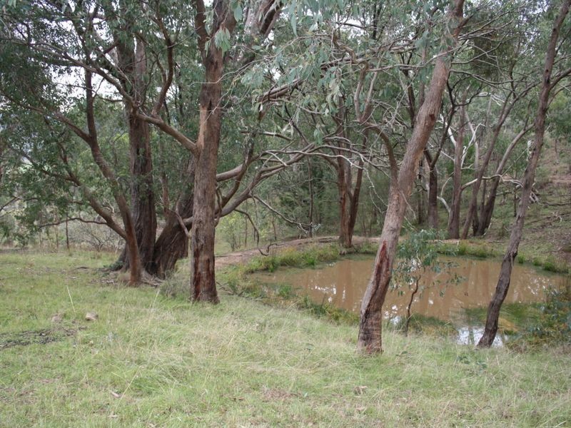 183 Old Dargo Road, Dargo VIC 3862