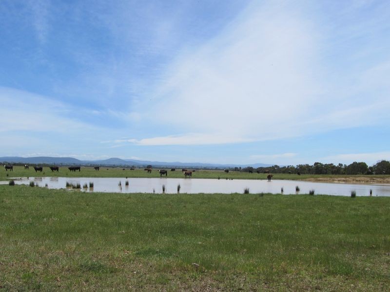 115 Humphreys Road, Bairnsdale VIC 3875