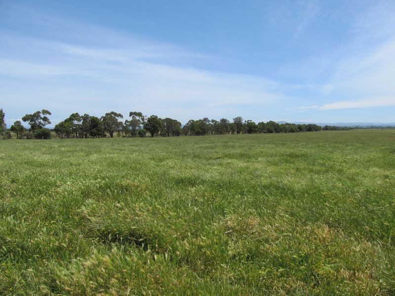 115 Humphreys Road, Bairnsdale VIC 3875