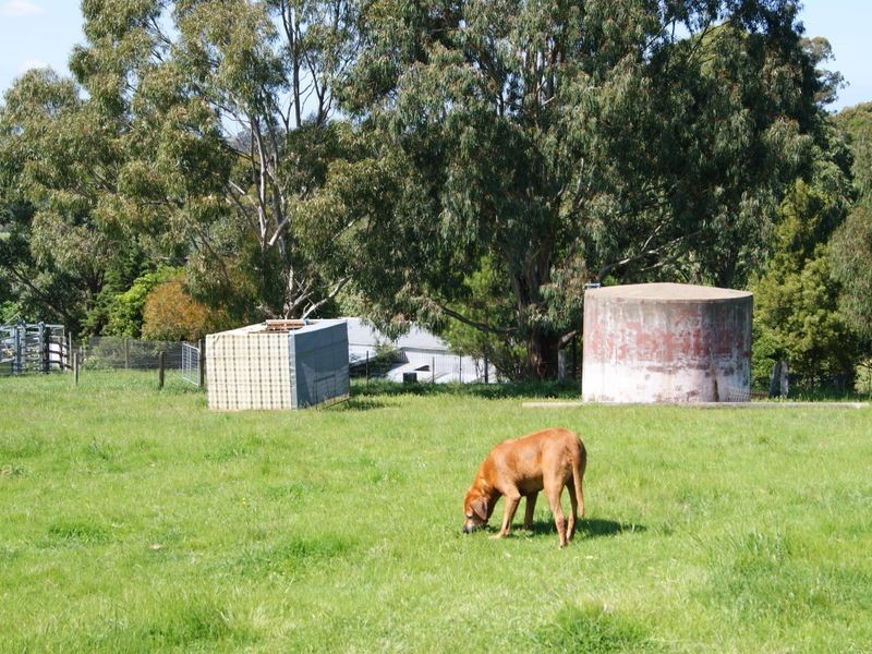 66 Johnsons Road, Tambo Upper VIC 3885