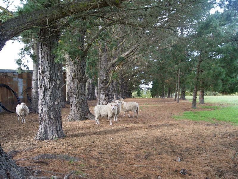 3085 Bengworden Road, Meerlieu VIC 3862