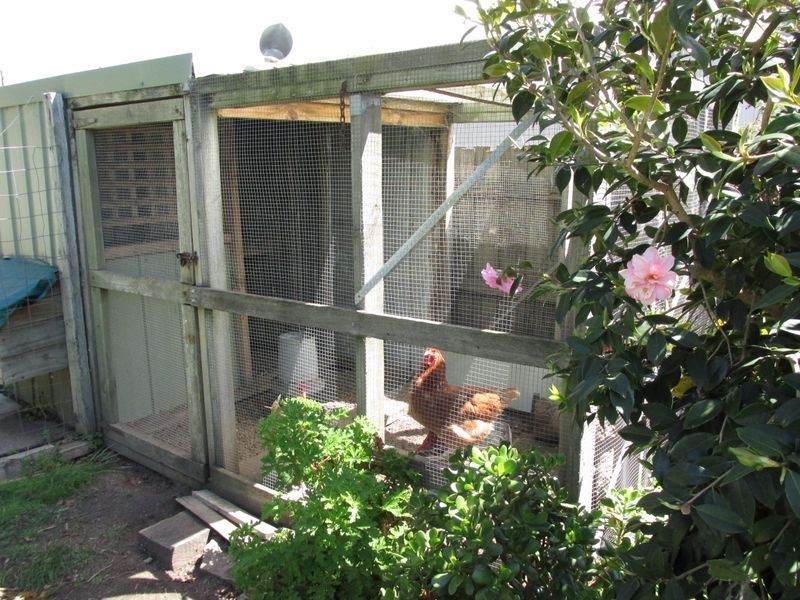 97 Drevermann Street, Bairnsdale VIC 3875