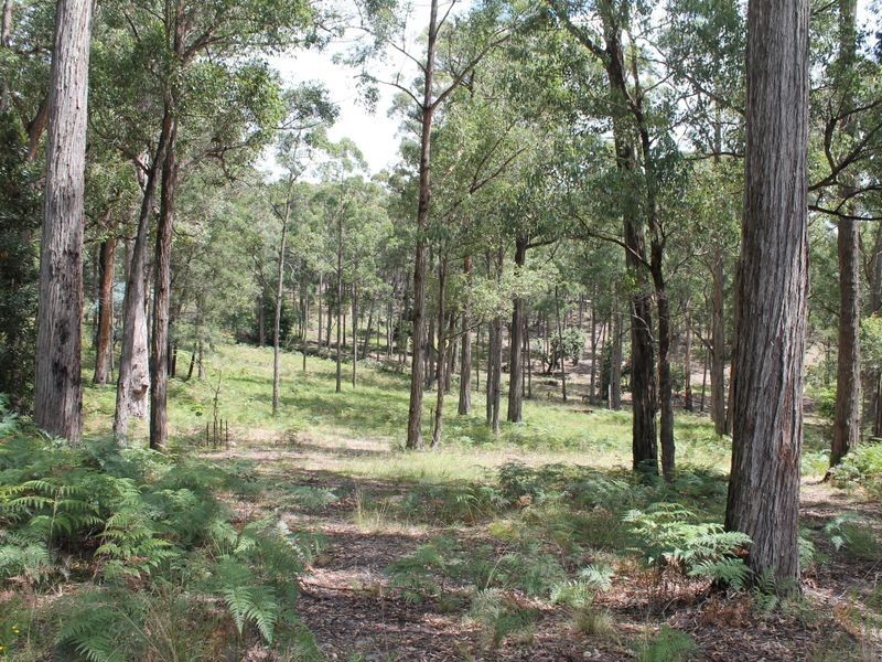 8 Yungera Court, Sarsfield VIC 3875