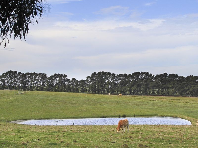 570 Great Alpine Road, Bairnsdale VIC 3875