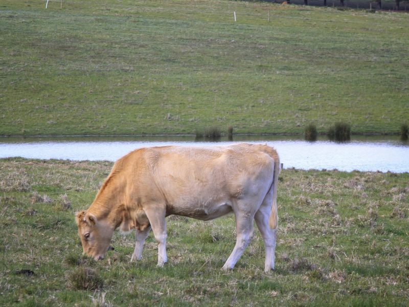 570 Great Alpine Road, Bairnsdale VIC 3875