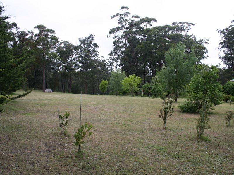 216 Simpsons Creek Road, Simpsons Creek VIC 3888