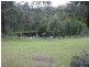 216 Simpsons Creek Road, Simpsons Creek VIC 3888