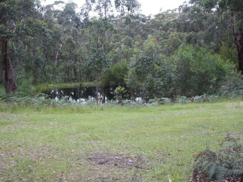216 Simpsons Creek Road, Simpsons Creek VIC 3888