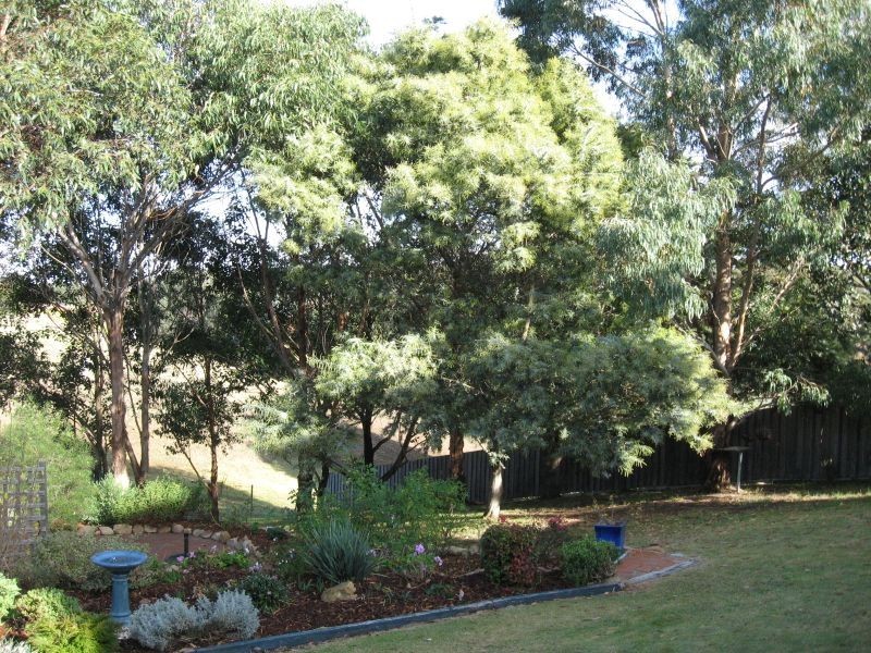 21 Harnham Drive, Bairnsdale VIC 3875